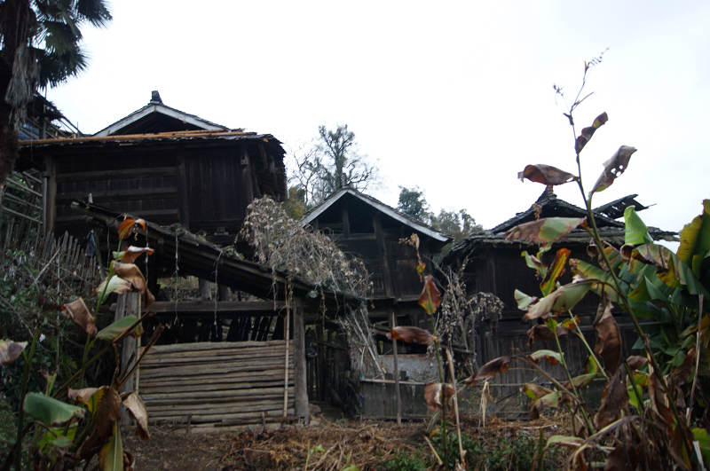 dsc08760.jpg