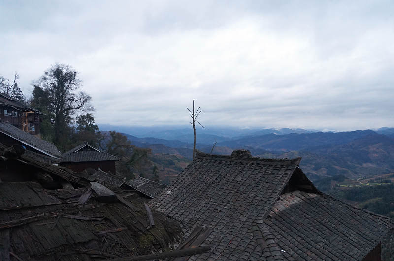 dsc04406.jpg