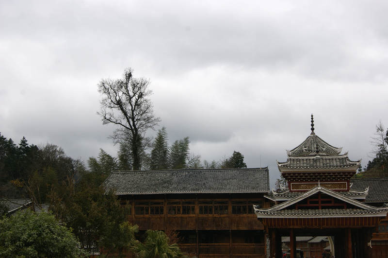 dsc08811.jpg