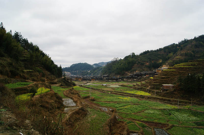 dsc08939.jpg