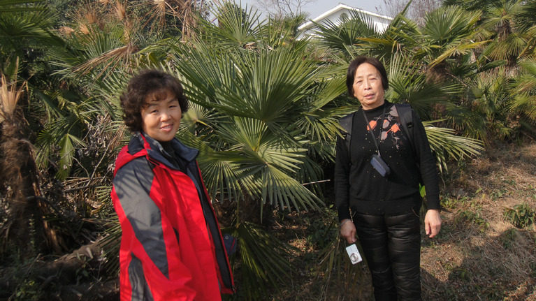 dsc08792.jpg