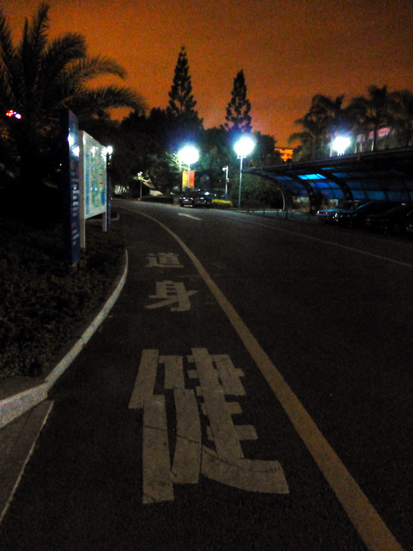 p1180513.jpg