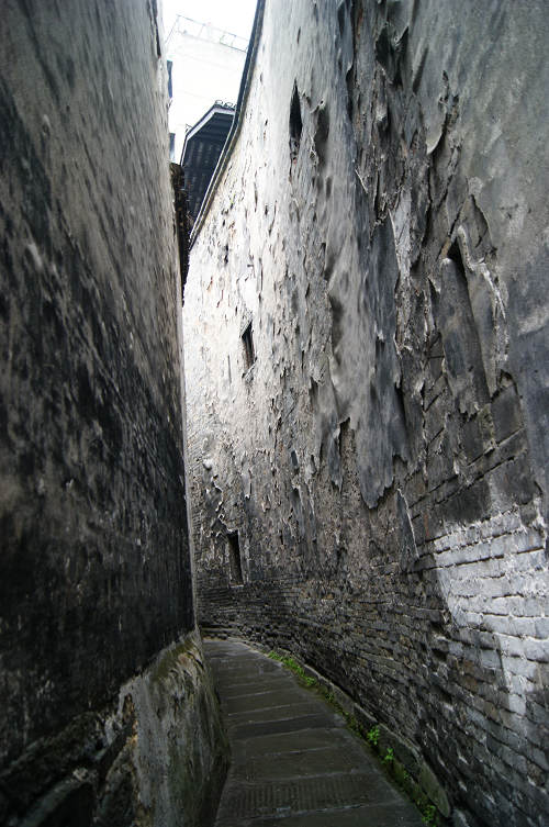 dsc09101.jpg