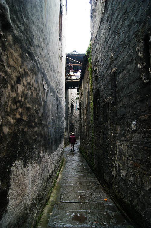 dsc09107.jpg