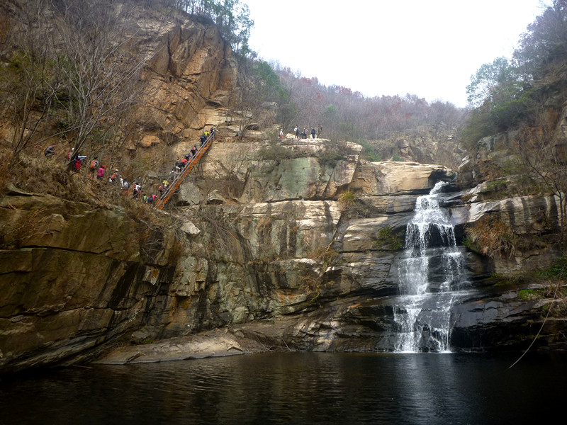 p1190073_.jpg
