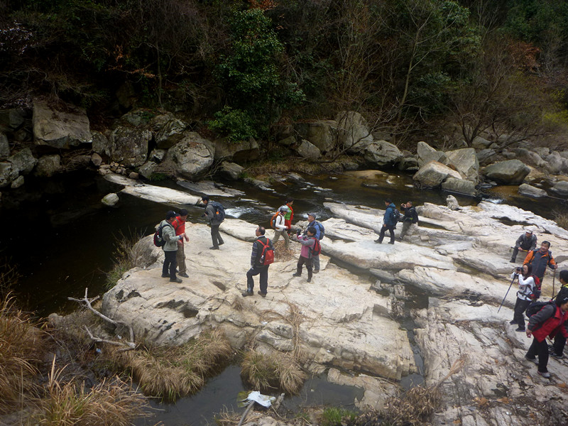 p1190088_.jpg