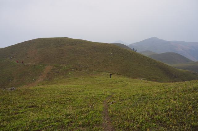 dsc05255.jpg