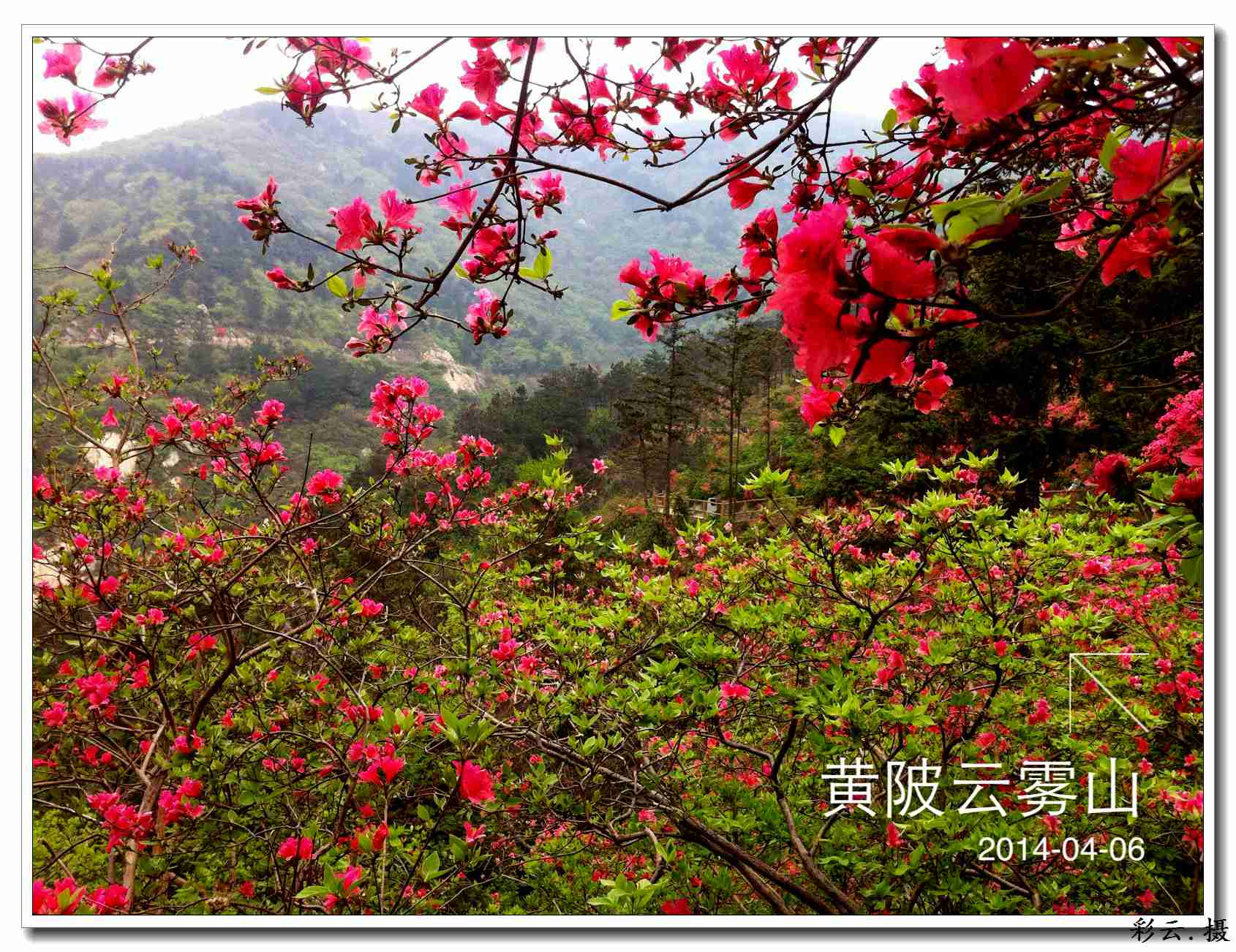 qqͼƬ20140406203255.jpg
