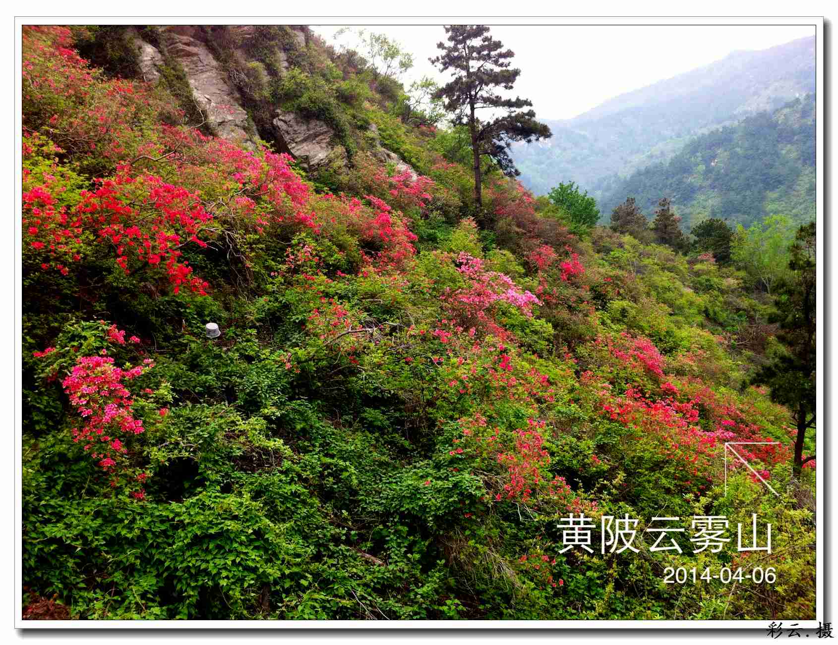 qqͼƬ20140406203537.jpg
