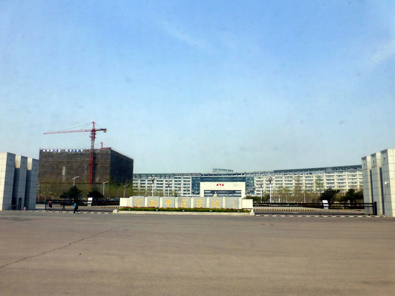 p1190858.jpg