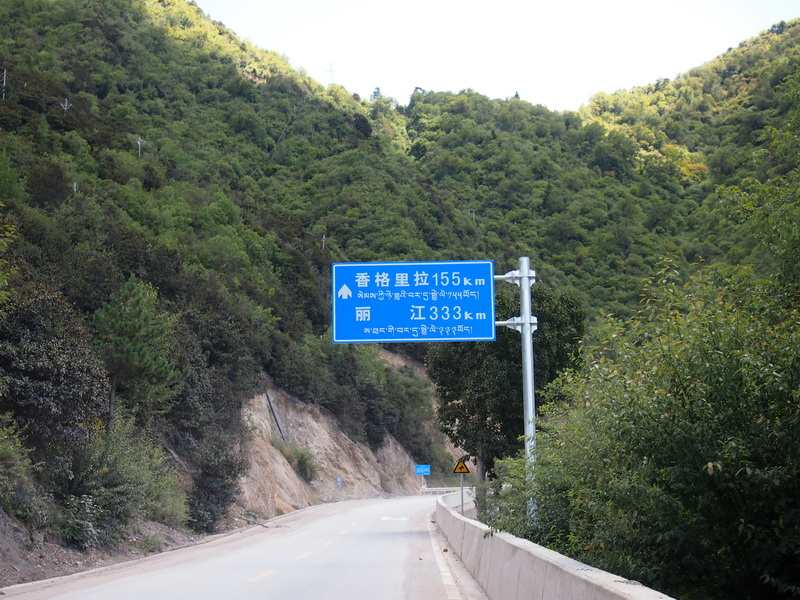 p9133962.jpg