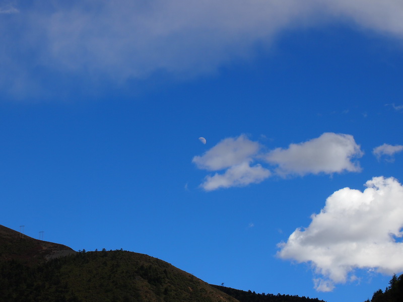 p9134000.jpg
