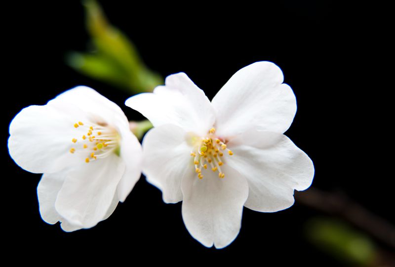 dsc_8229-1_.jpg