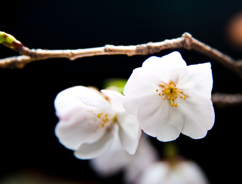dsc_8228-1_.jpg