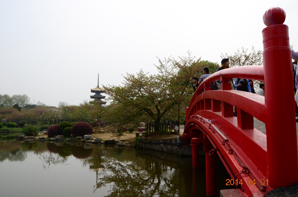 dsc_5516.jpg