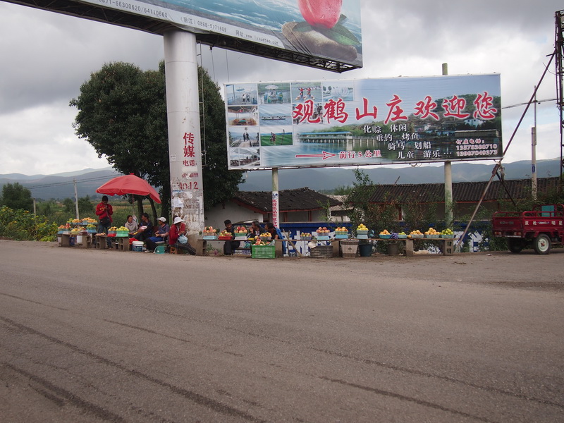p9174147.jpg