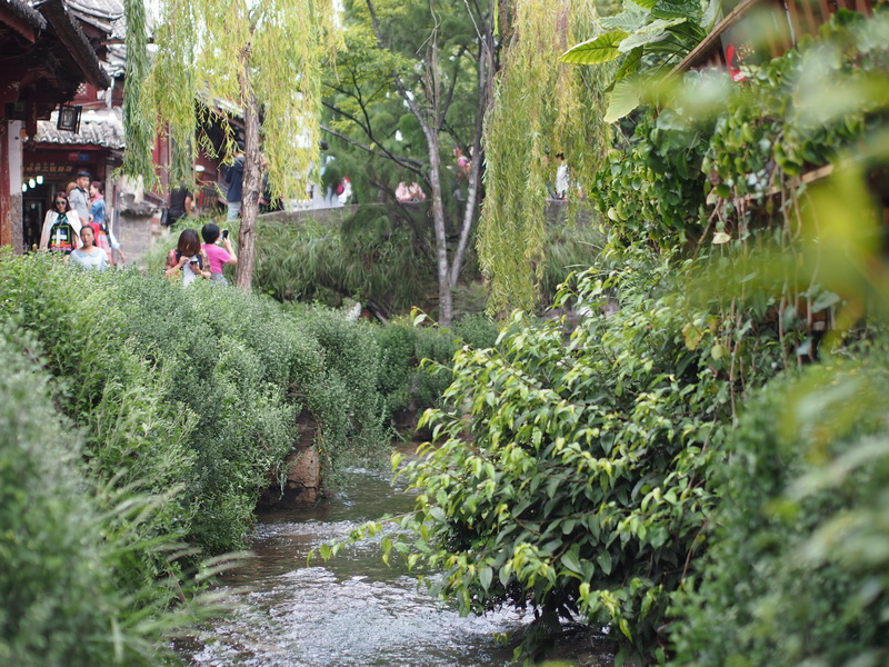 p9174166.jpg