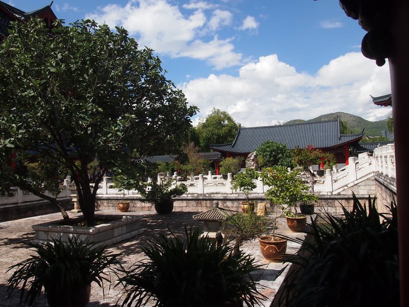 p9174223.jpg