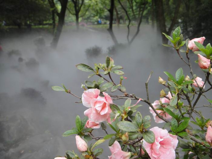 856-10.jpg