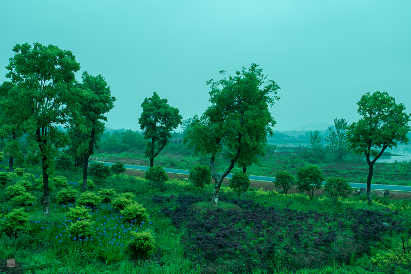 l1004144.jpg