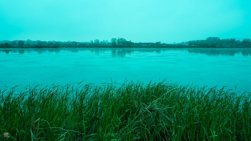 l1004148.jpg