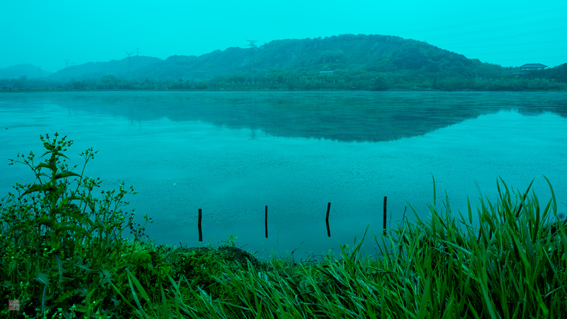 l1004150.jpg