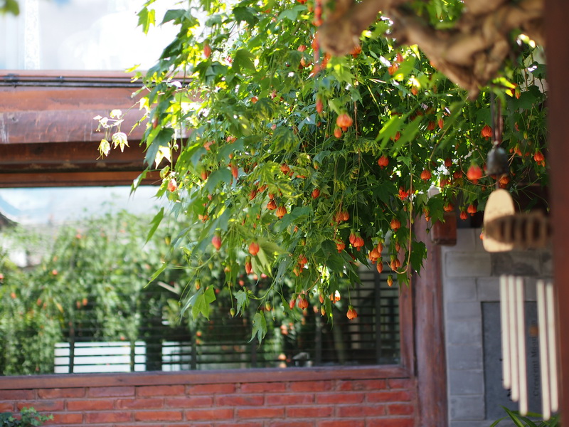 p9184369.jpg