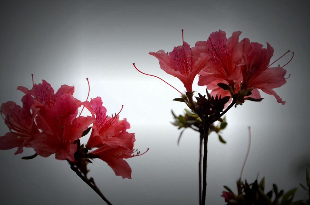 Ƭ20140412ɽ 6.jpg
