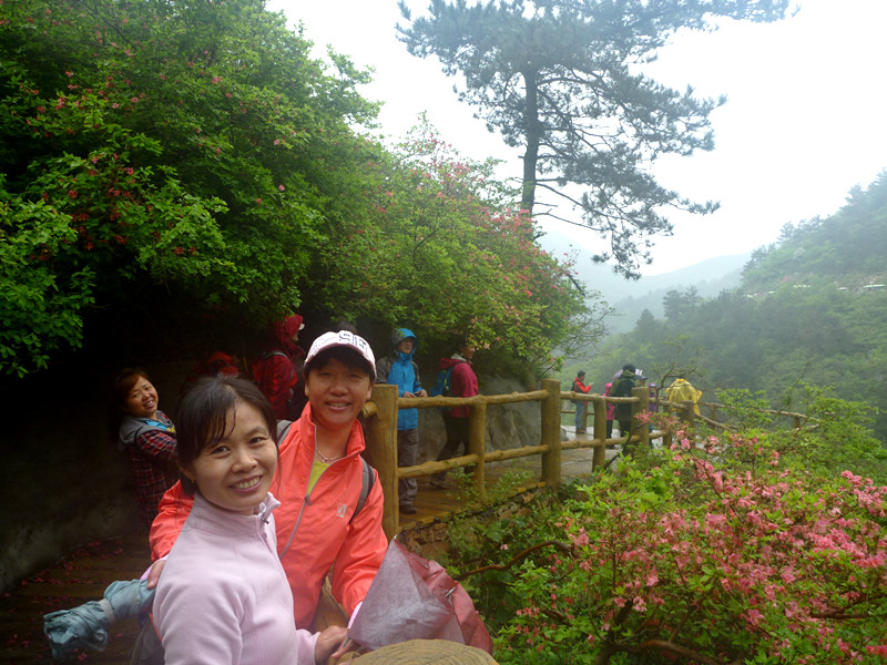 p1190304_.jpg