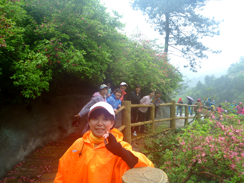p1190306_.jpg