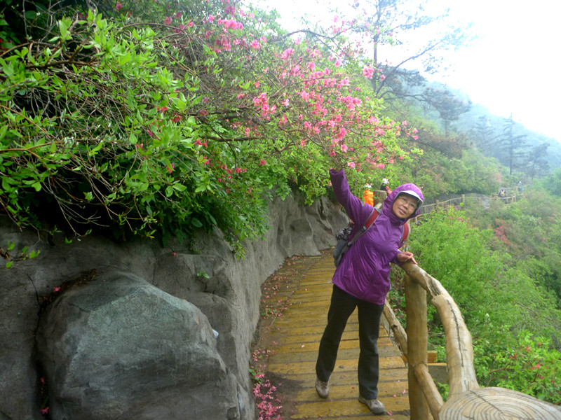 p1190312_.jpg