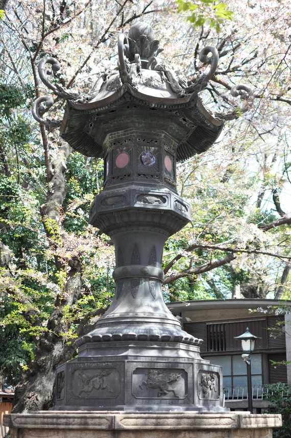 dsc_1046.jpg