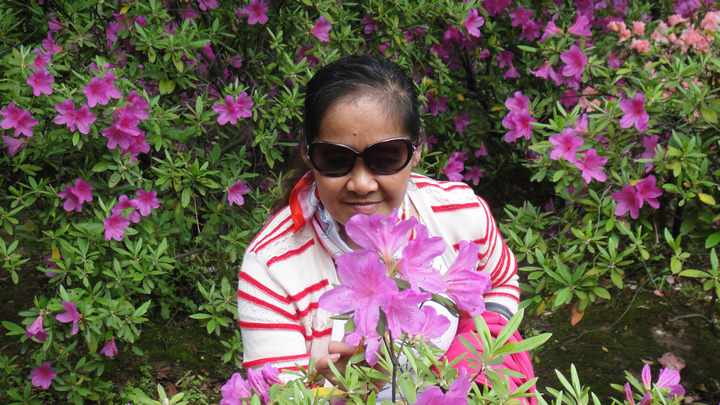dsc04085.jpg