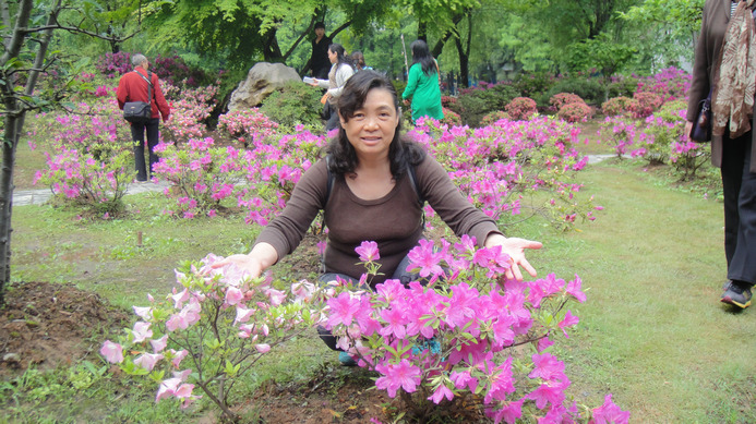 dsc04087.jpg