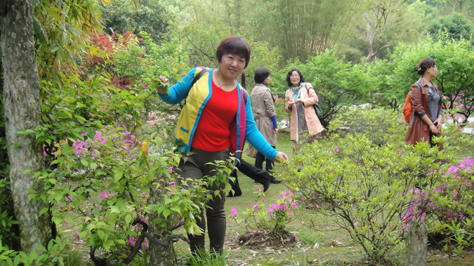 dsc04110.jpg