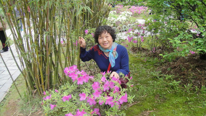 dsc04117.jpg
