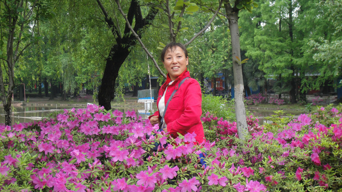 dsc04133.jpg