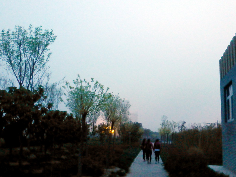 p1190957.jpg