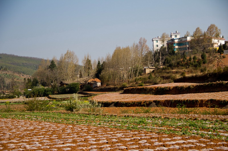 img_1742_缩小大小.jpg
