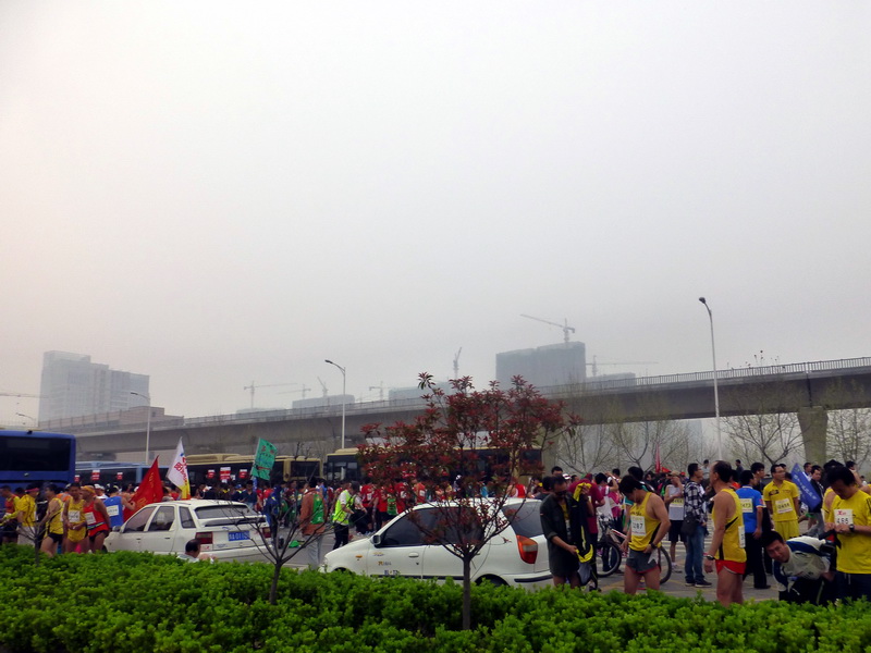 p1190973.jpg