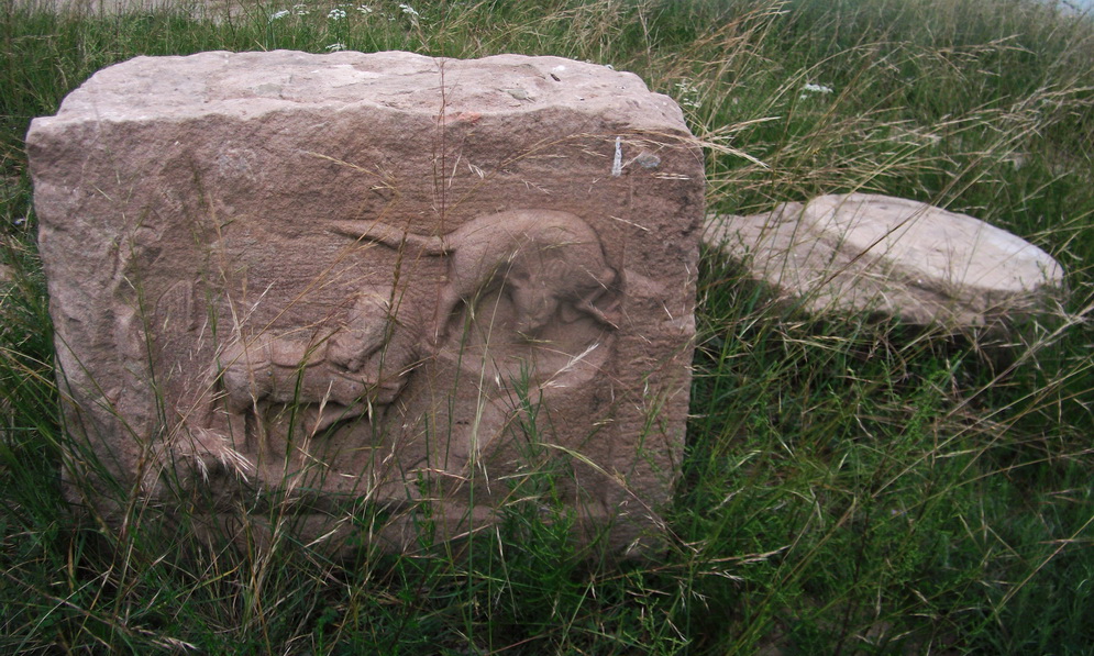 dscf0639.jpg