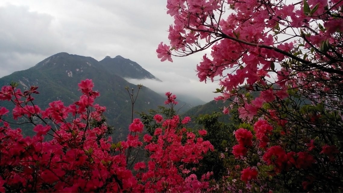 qq图片20140423154028.jpg