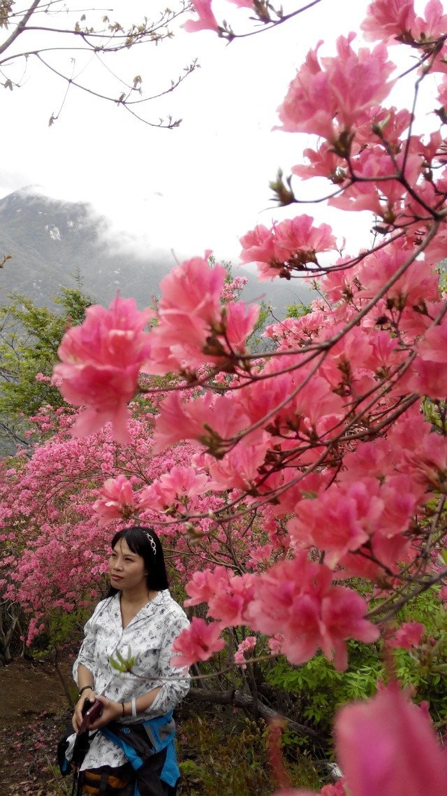 qq图片20140423153837.jpg