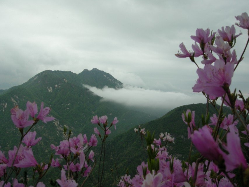 qq图片20140423153926.jpg