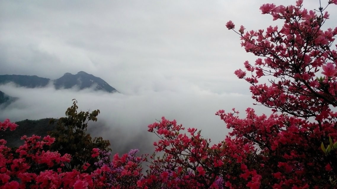 qq图片20140423154043.jpg