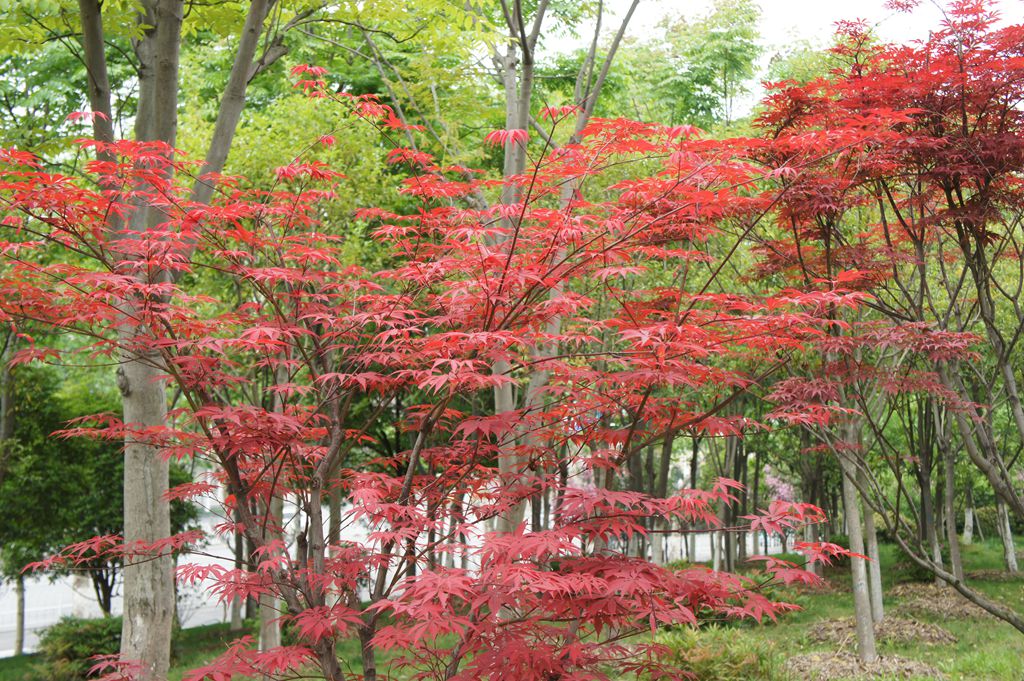 dsc03145_.jpg