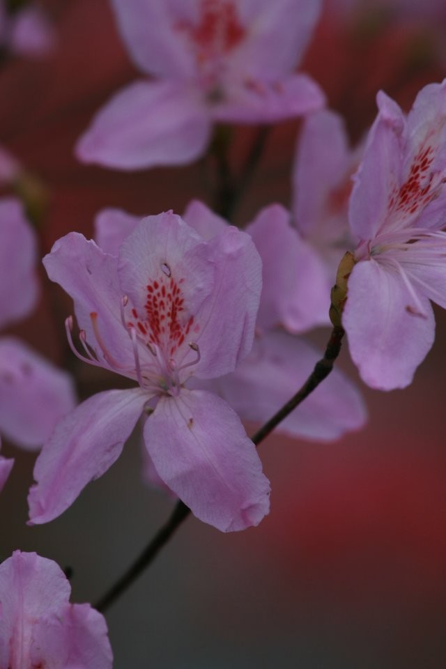 qqͼƬ20140424173728.jpg