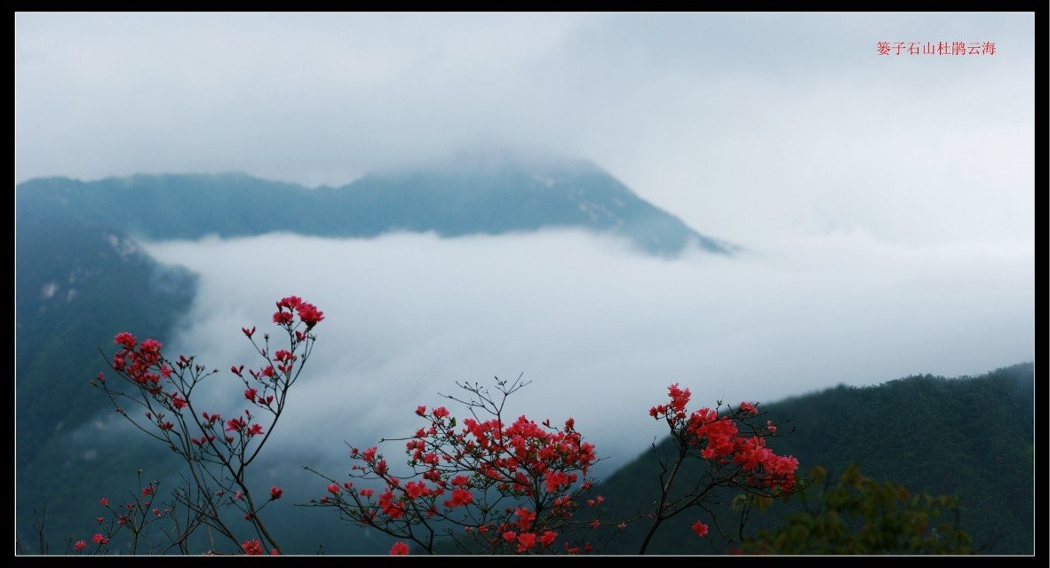 qqͼƬ20140424173800.jpg