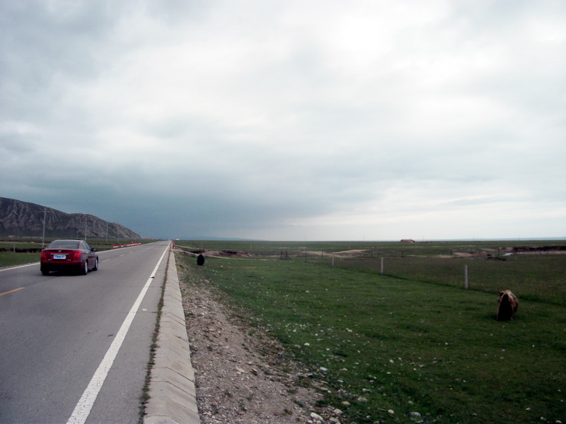 dscf0608.jpg