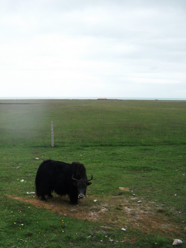 dscf0609.jpg